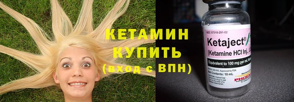 стаф Гатчина
