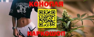 сатива Канаш