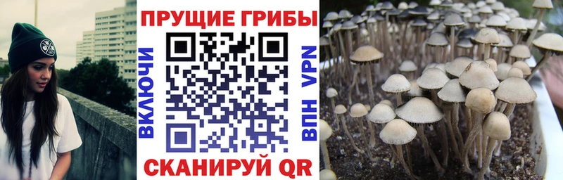 Галлюциногенные грибы мицелий Красноуфимск