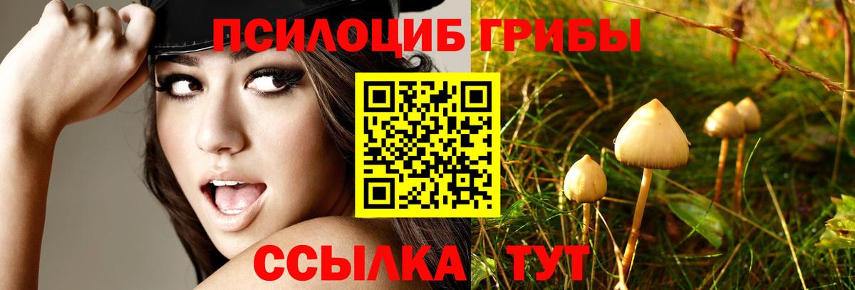 Галлюциногенные грибы Magic Shrooms  Вход с VPN  Псилоцибиновые грибы GOLDEN TEACHER  Красноуфимск 